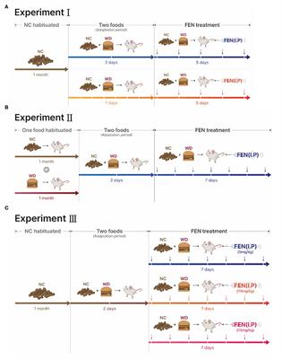 The anorexic effect of DL-fenfluramine is dependent on animals' habituation to different food types